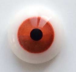 Clear red with red rim. 11 mm. 6.5 euro.