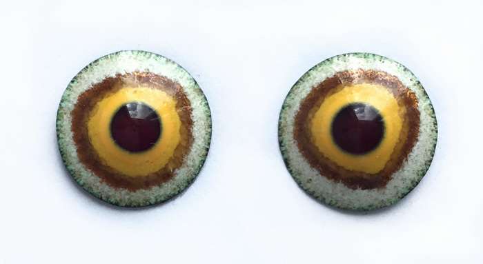 Глаза-пуговки эмалевые. 13 мм.470 руб.