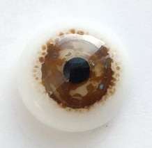 Brown with turquoise abnd dark spot. 12 mm. 6.5 euro.